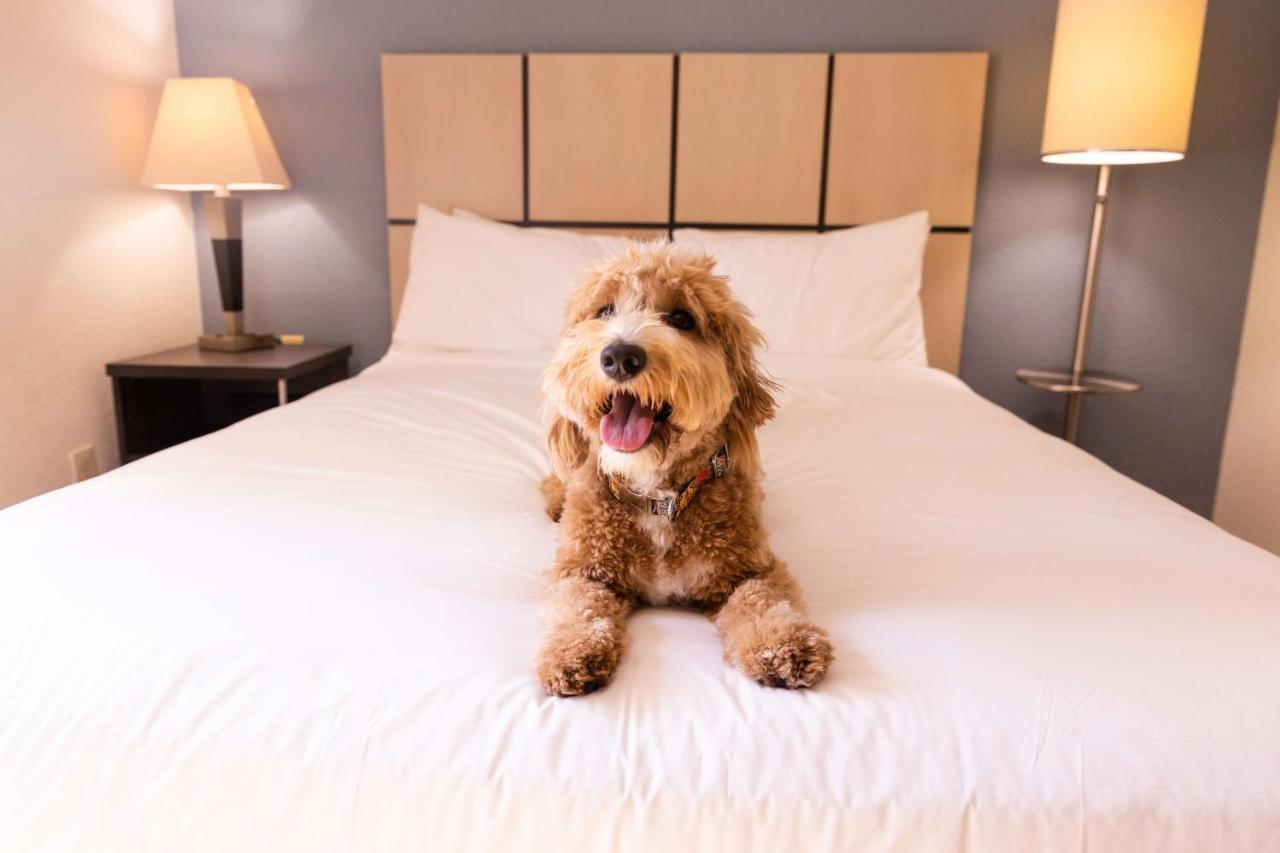 Sonesta Simply Suites أرلينغتون المظهر الخارجي الصورة